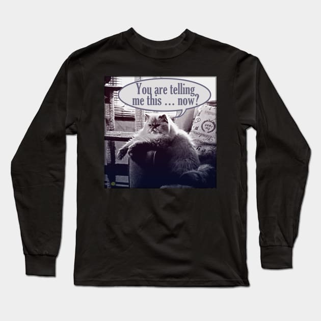 You are telling me this ... now? Long Sleeve T-Shirt by RobertBretonArt